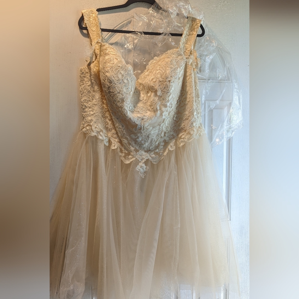Prom/Bridesmaid Dress